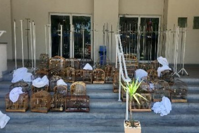 Delegacia de Proteção ao Meio Ambiente resgata 44 aves utilizadas em torneio de canto em Nilópolis
