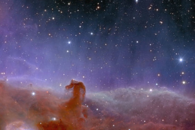 Euclid: primeiras imagens do telescópio europeu mostram galáxias cintilantes