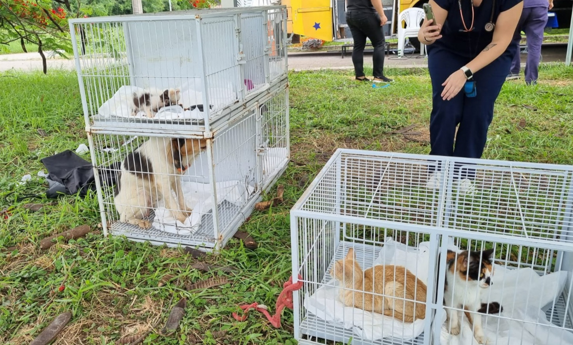 Foi realizada uma feira de adoção de cães e gatos, além de disponibilizadas vacinação e castração para os animais, em parceria com a Secretaria de Estado de Saúde - Divulgação / PRF