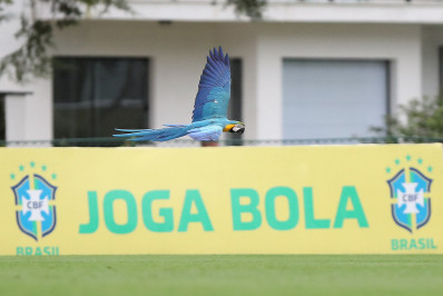 CBF apresenta propostas para ampliação da Granja Comary