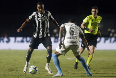 Botafogo e Grêmio cogitam se enfrentar em campo neutro nas duas partidas pelo Brasileirão