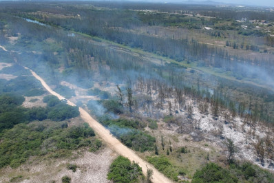 Incêndio de grandes proporções atinge Restinga da Massambaba, em Arraial do Cabo