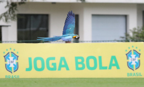 Gui Santos🔥🔥 Com apenas 21 anos, o brasileiro joga pelo Golden