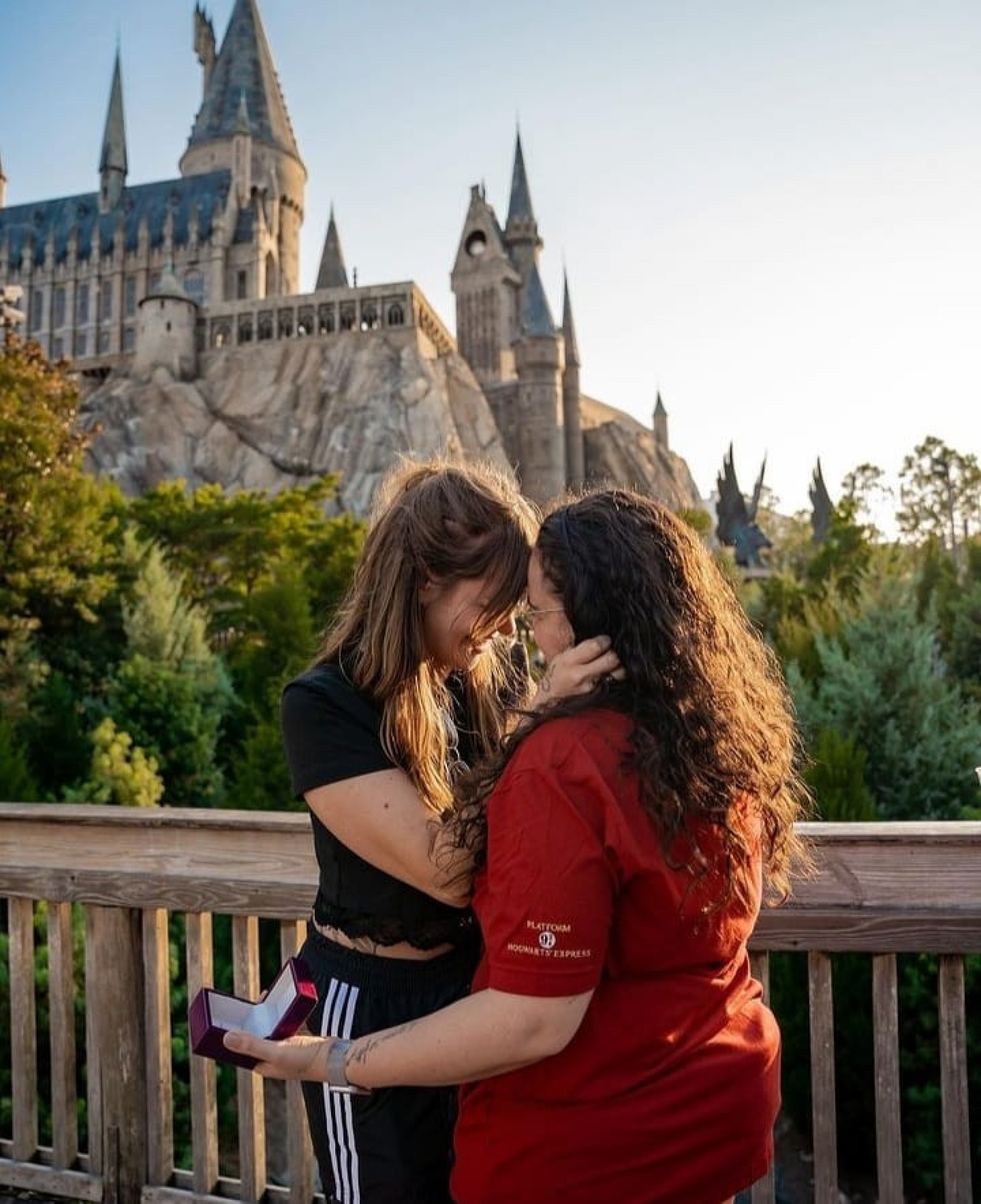 Luiza Martins pediu Marcela Mc Gowan em casamento em agosto deste ano - Reprodução/Instagram