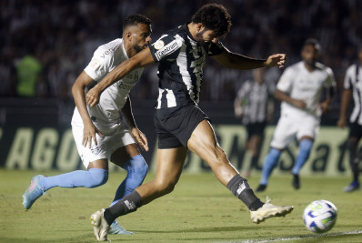 Botafogo vê chances de título no Brasileirão caírem para 30%; Flamengo tem pouco mais de 6%