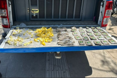 Polícia Militar apreende drogas e prende criminoso em São Pedro da Aldeia