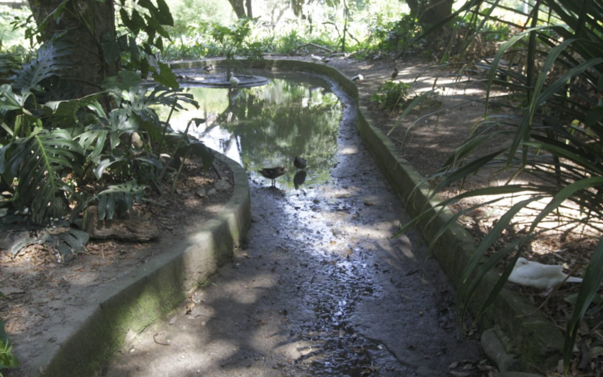 Nível da água já está baixo no parque 