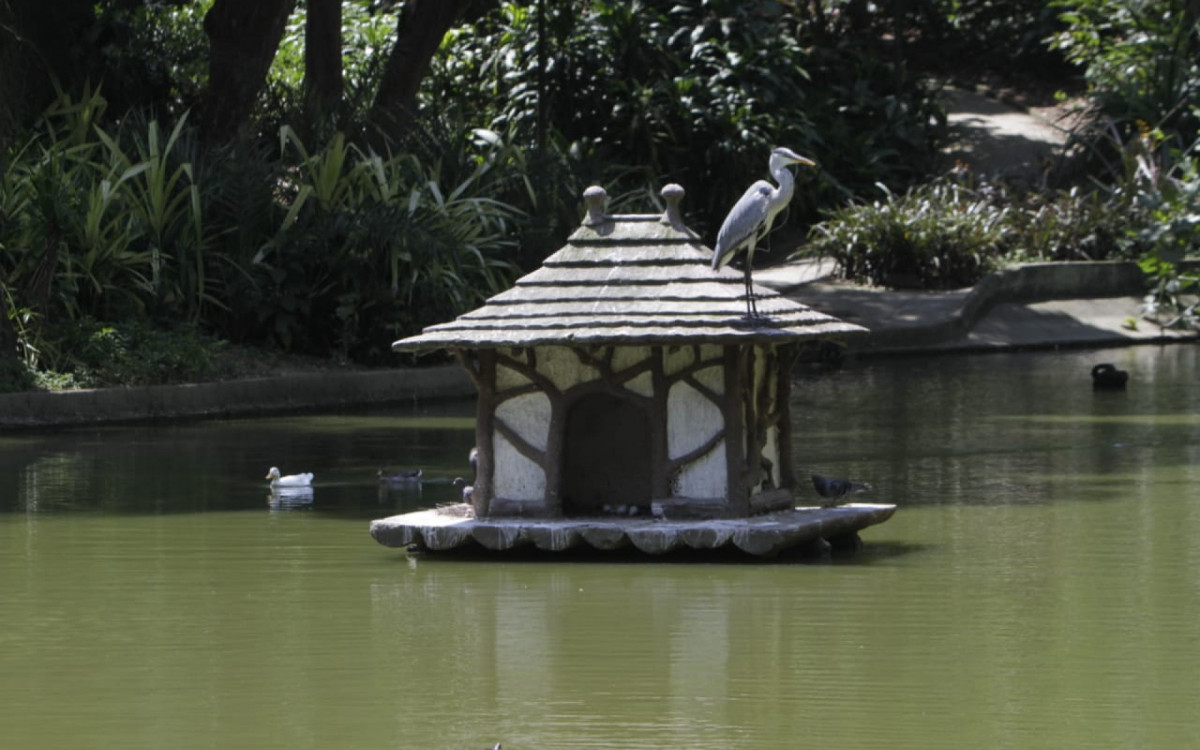 A interrupção do abastecimento pode prejudicar a oxigenação do lago 