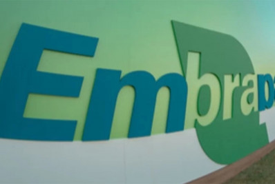 Trabalhadores da Embrapa paralisam atividades nesta quarta-feira