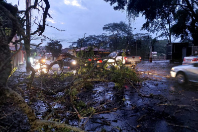 Vendaval provoca queda de árvores e destelhamentos de casas em Resende