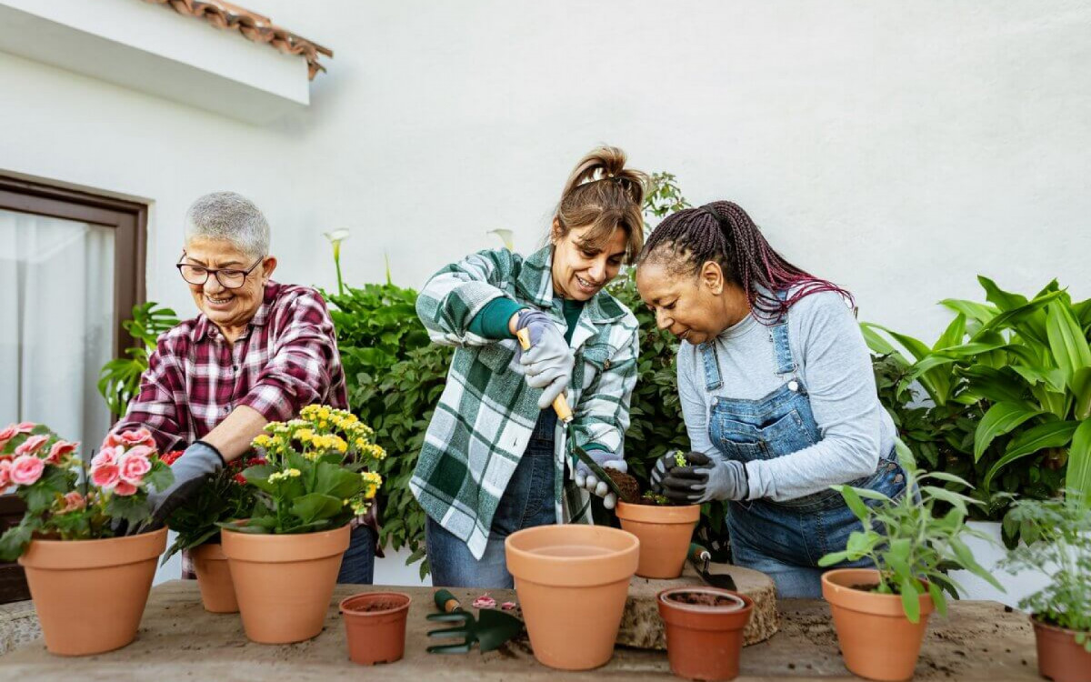 Jardins ficam mais bonitos durante a primavera, mas também precisam de cuidados especiais para estarem saudáveis (Imagem: AlessandroBiascioli | Shutterstock)