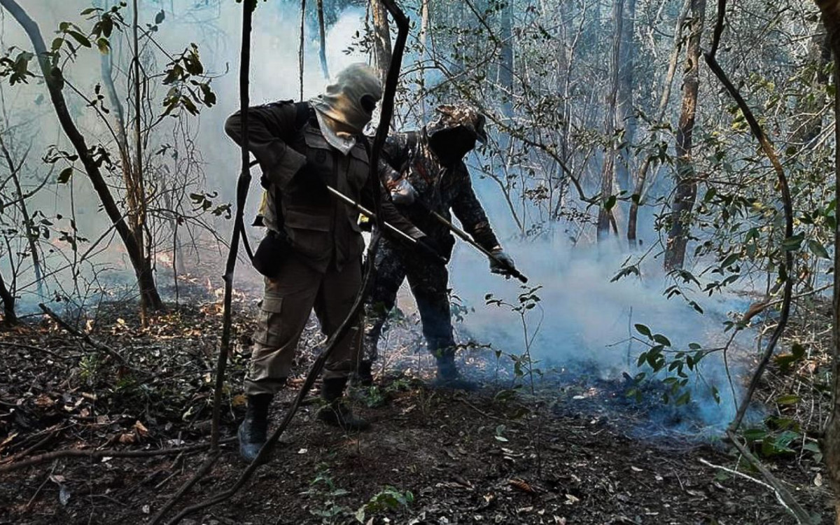 Dois estados decretam emergência em razão de incêndios no Pantanal 