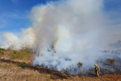 Governo de MS decreta situação de emergência em cinco cidades após incêndios no Pantanal
