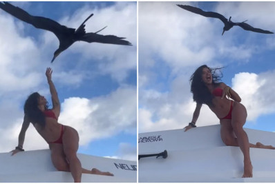 Aline Campos é atacada por ave durante passeio de lancha: 'Mordeu meu dedo'