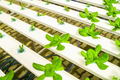 Divulgada lista de projetos selecionados para próxima etapa da Chamada Pública do Sandbox Regulatório