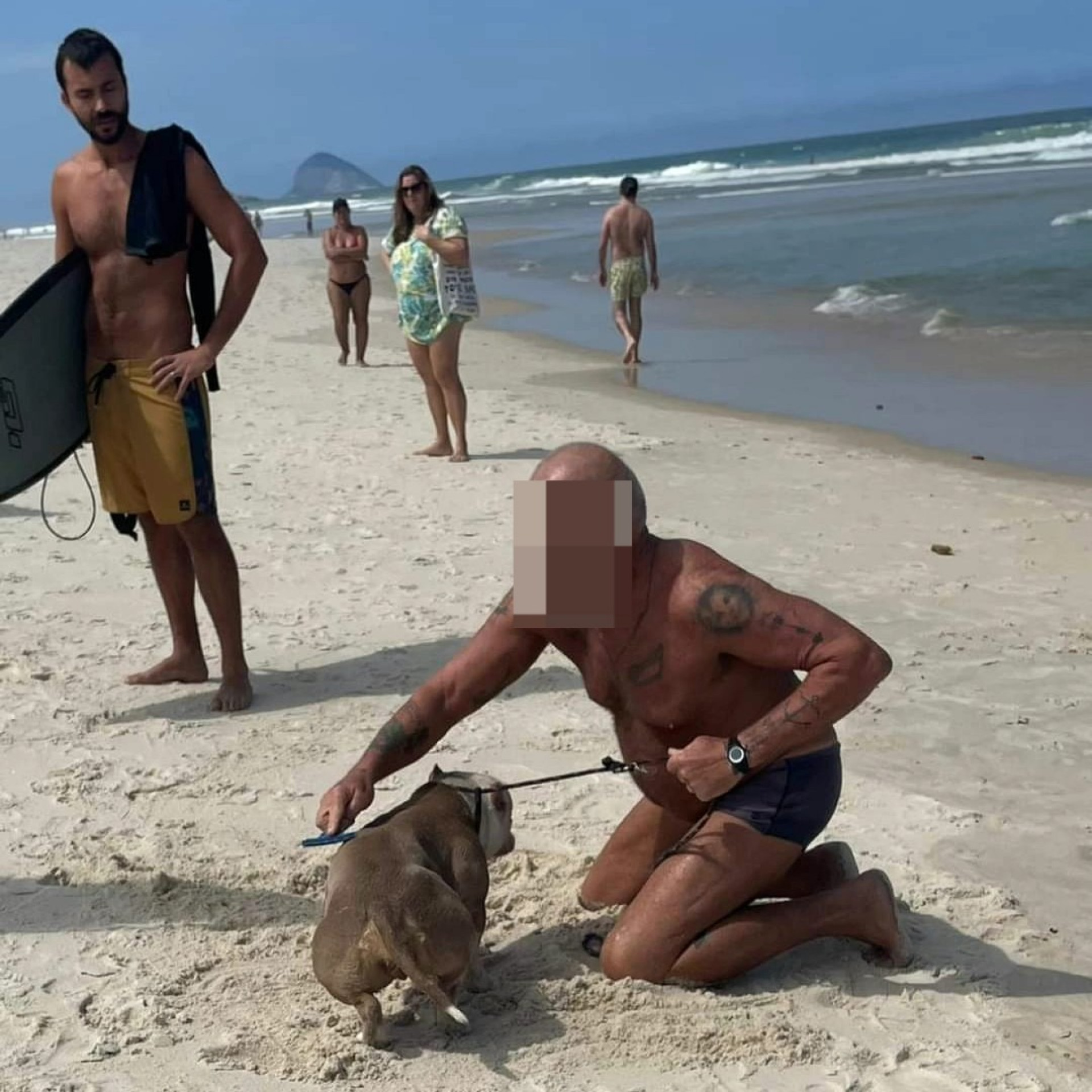 Tutor de cadela é apontado como o responsável por cometer maus-tratos contra o animal na praia da Barra da Tijuca - Divulgação