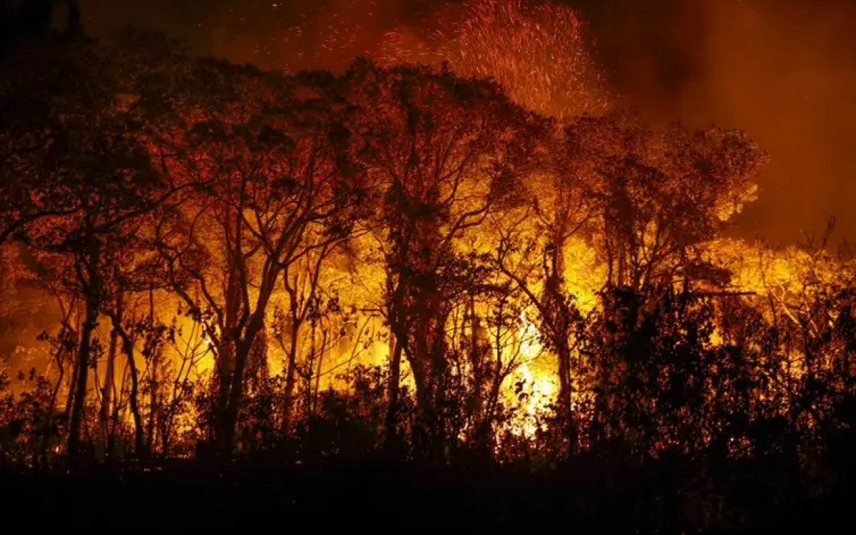 Região do Pantanal enfrenta série de incêndios