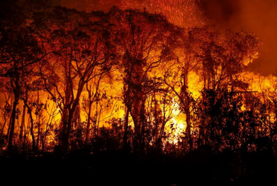 Pantanal: queimadas em junho superam patamar da maior devastação já registrada