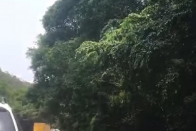 Siga e pare na Rio-Santos provoca engarrafamento e irrita população e motoristas