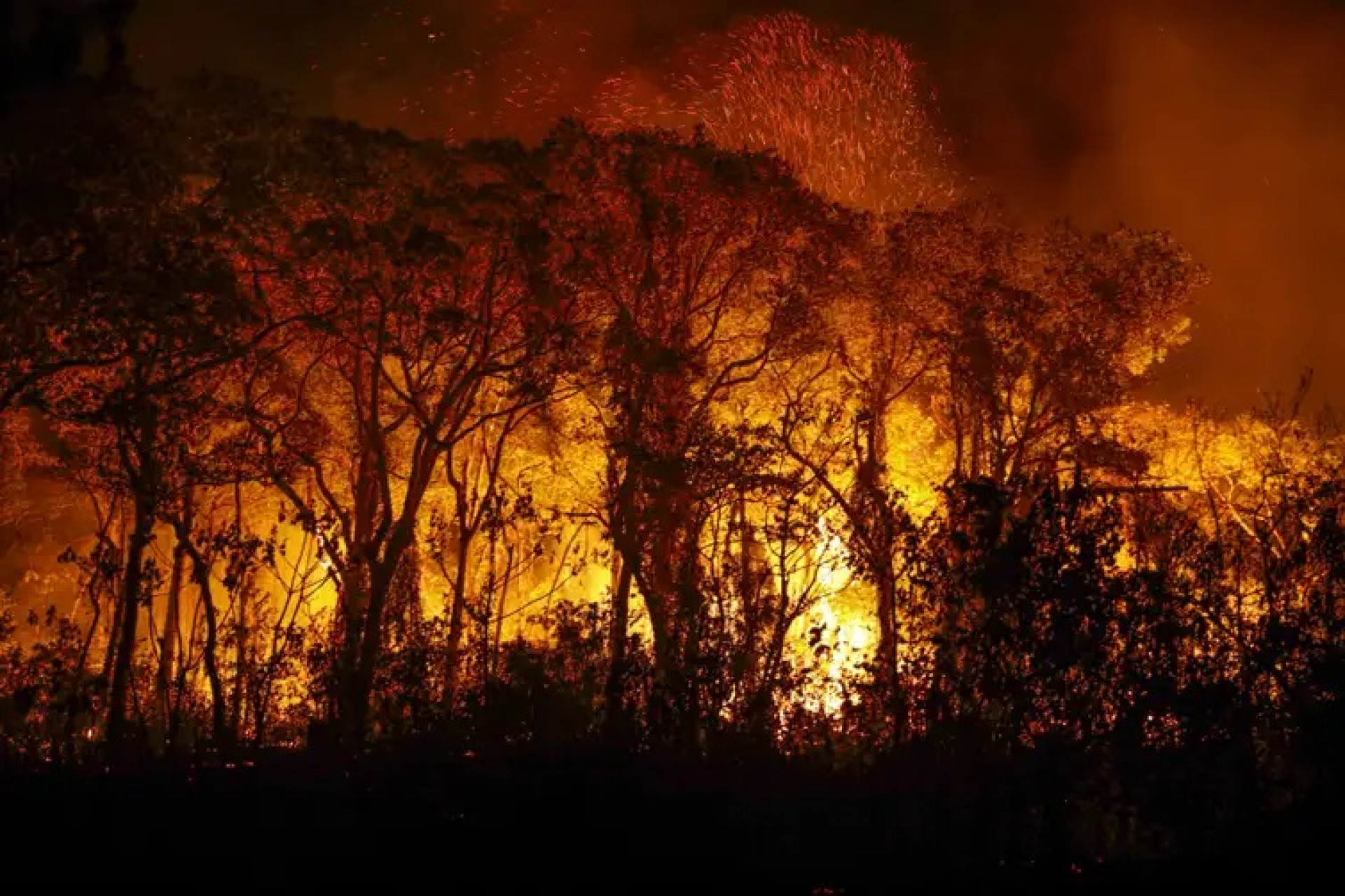 Região do Pantanal enfrenta série de incêndios - Reprodução/Agência Brasil