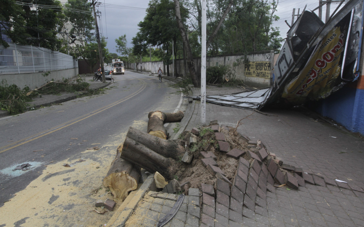 Árvore caiu em frente ao fórum de Nova Iguaçu, na baixada Fluminense no Rio de Janeiro. Domingo (19)