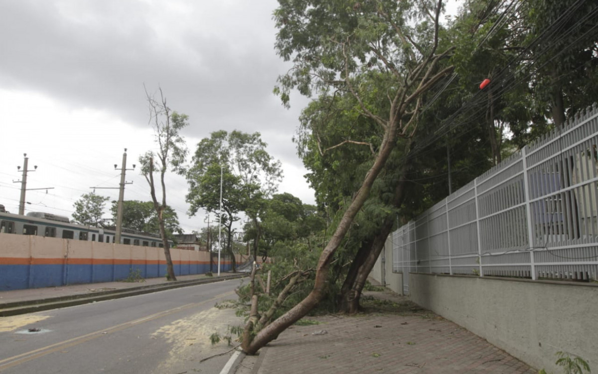 Temporal Provoca Quedas De árvores E Alagamentos No Rio E Na Baixada Rio De Janeiro O Dia 