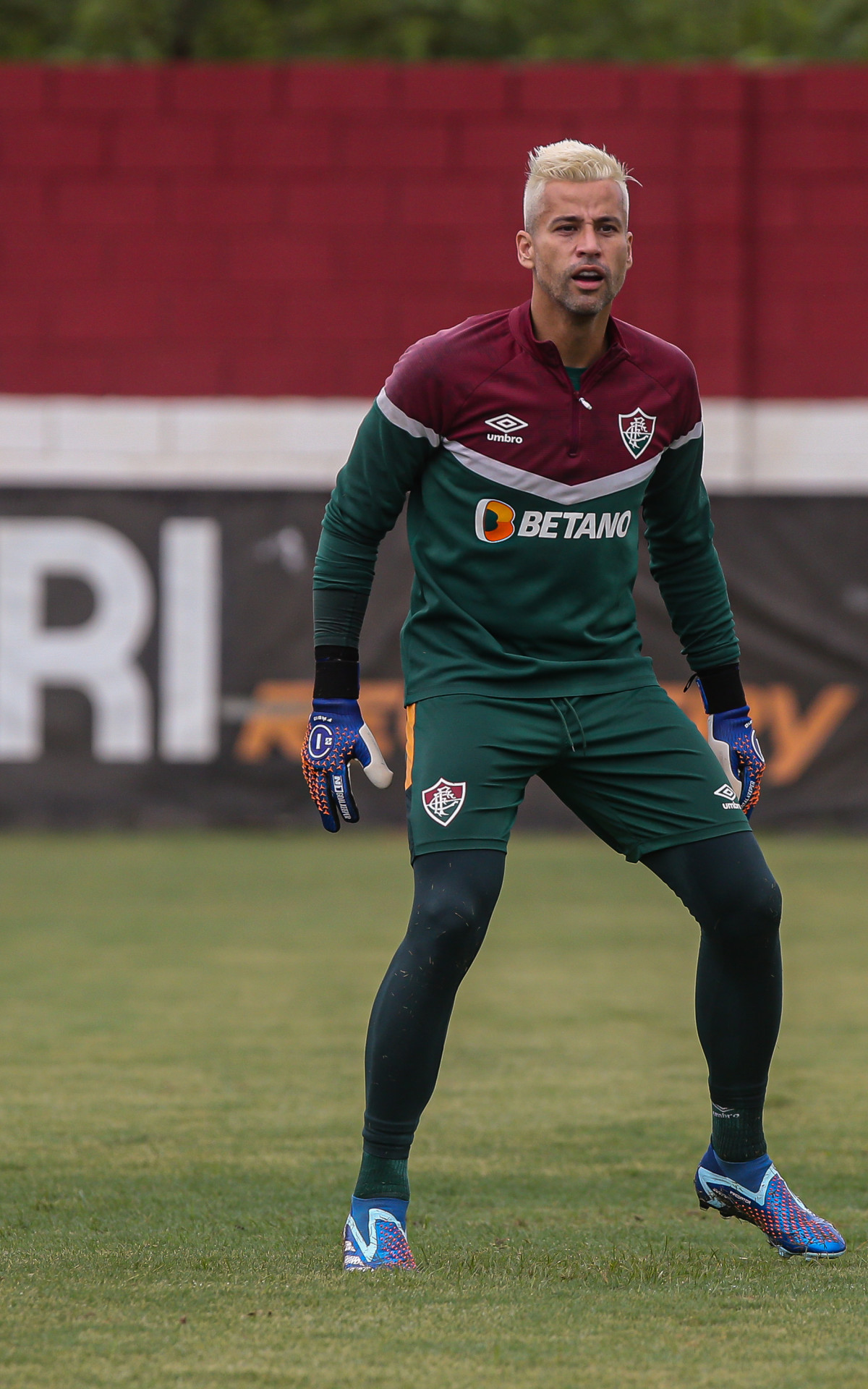 Fábio - Marcelo Gonçalves/ Fluminense