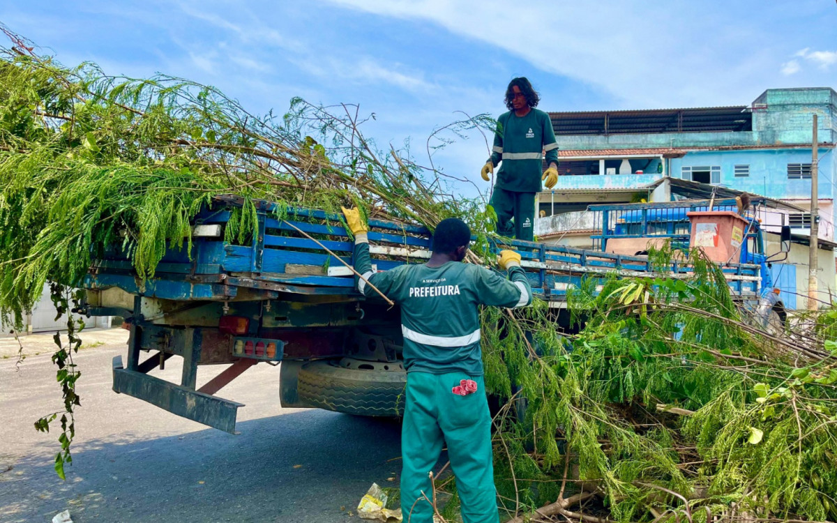A poda de árvores foi um dos serviços do mutirão que beneficiou mais de 20 ruas