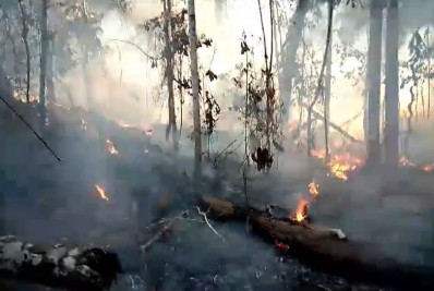 Fogo destrói 200 hectares de parque nacional na Bahia