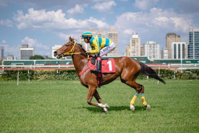 Vereadores de SP votam projeto que proíbe corrida de cavalo com apostas