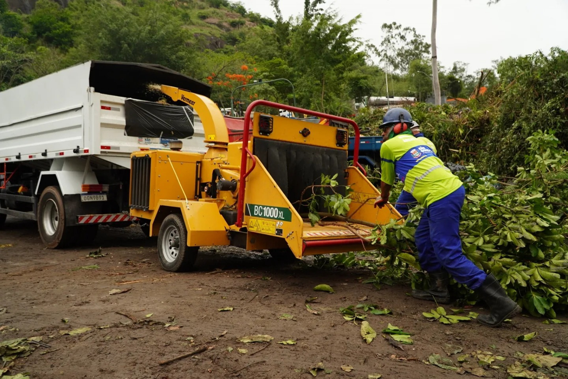 Equipes da prefeitura de São Gonçalo removem árvores no município após problemas de energia elétrica - Divulgação