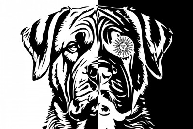 O cachorro e a mentira