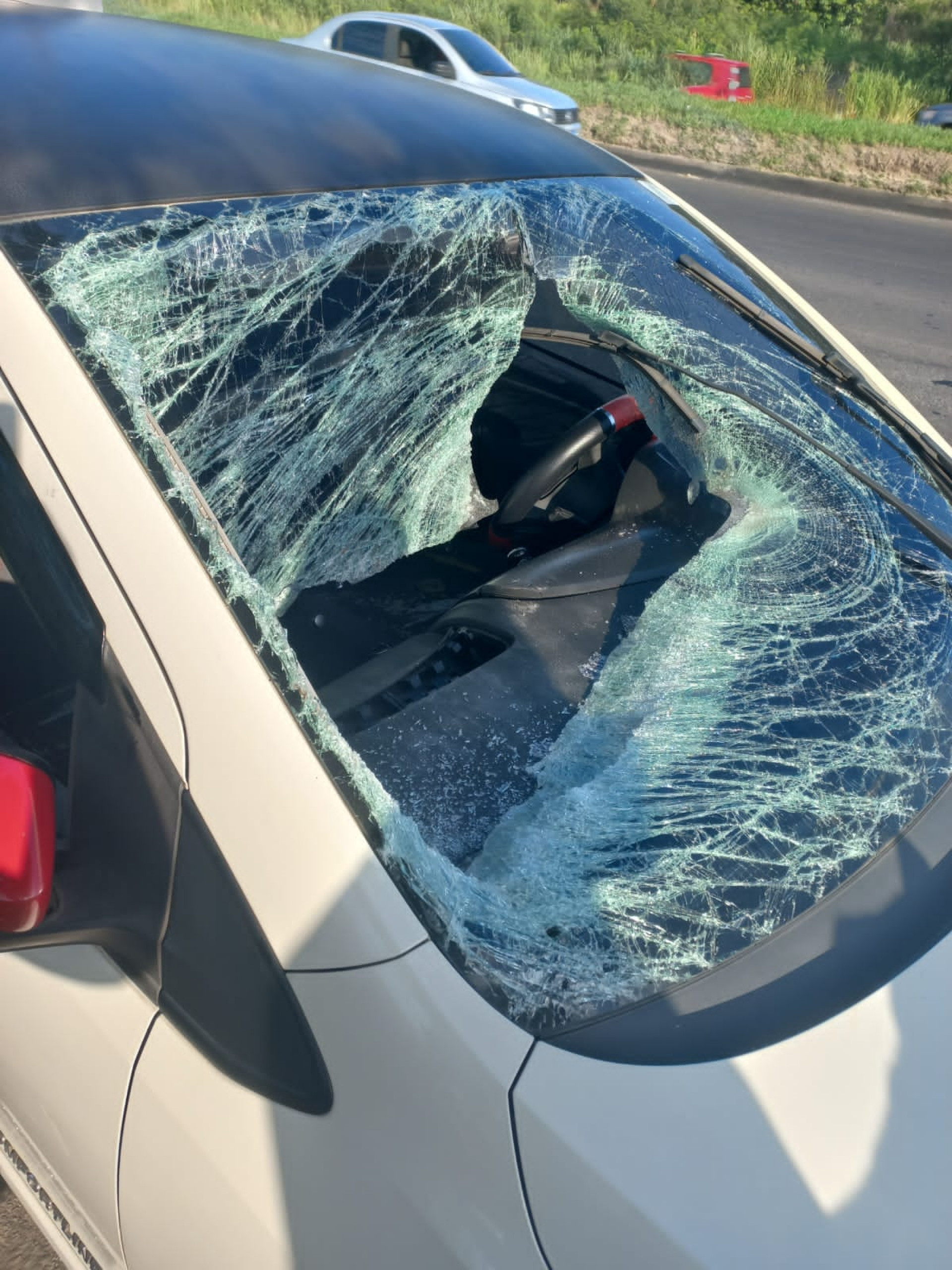 Outro carro é atingido por tronco ao passar pelo mesmo viaduto na Avenida Brasil

