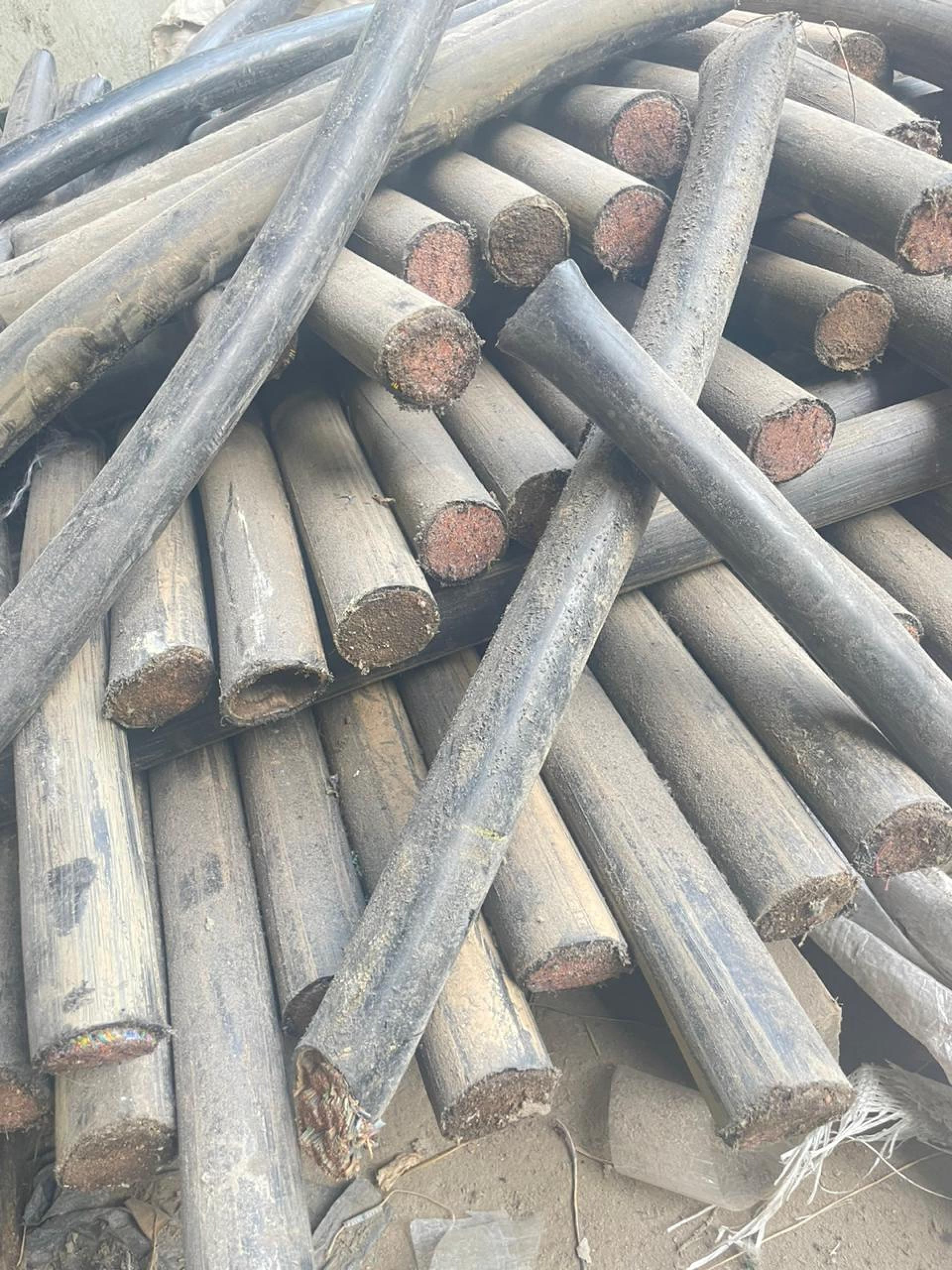 Cabos de telefonia apreendidos durante ação da Polícia Militar - Divulgação