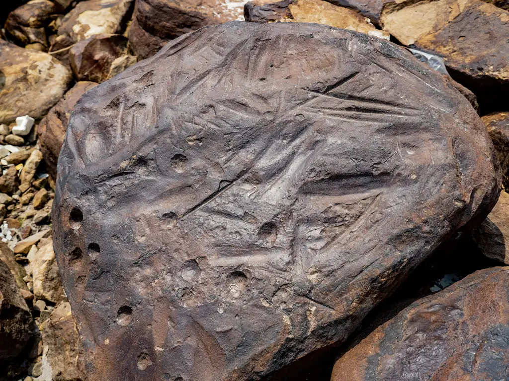 Gravuras de sítio arqueológico são vistas durante seca em Manaus