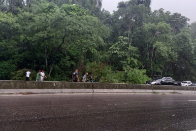 Árvore interdita pista da Rio-Santos sentido Mangaratiba