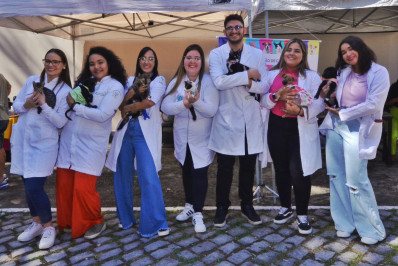 Nova Iguaçu promove mais uma feira de adoção de animais neste sábado