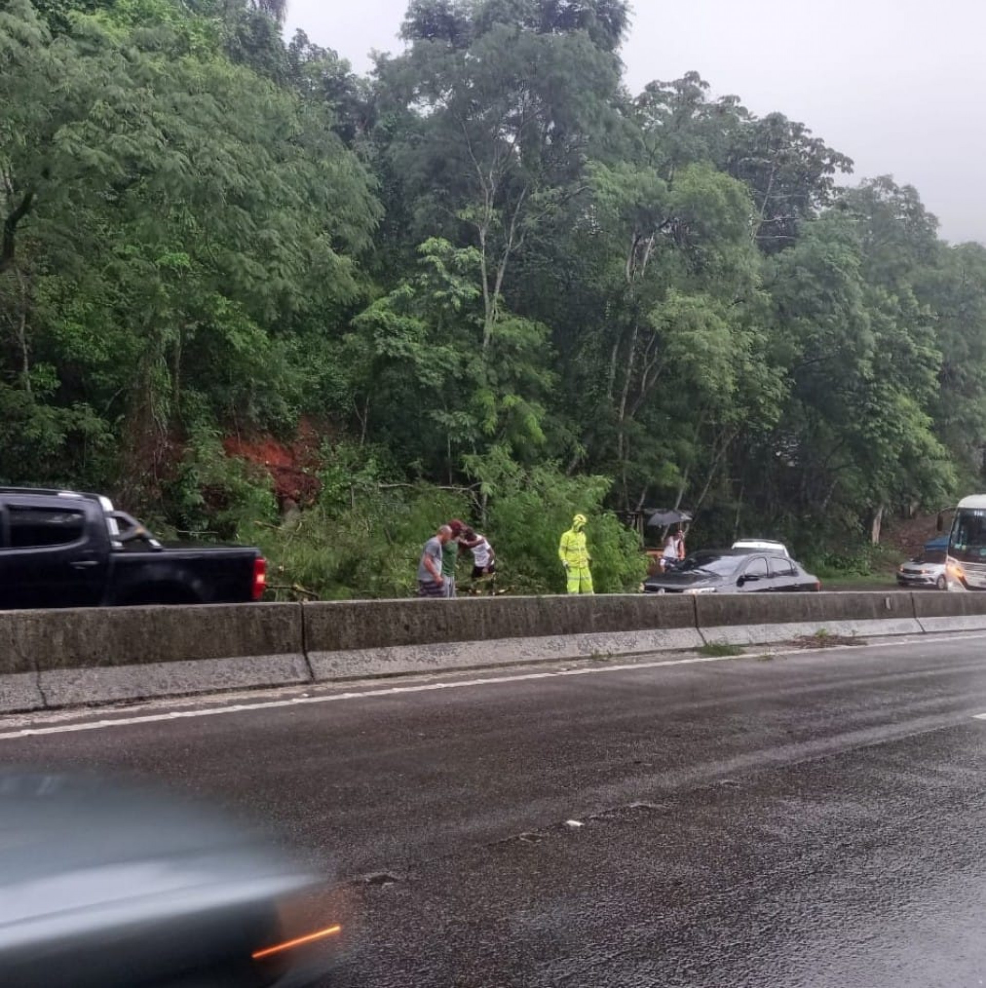 Motoristas conseguem retirar galhos da árvore deixando em pista pista - Divulgação