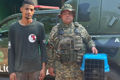 Resgatado depois de ser ferido por cães, macaco se recupera em centro de pesquisas do Inea