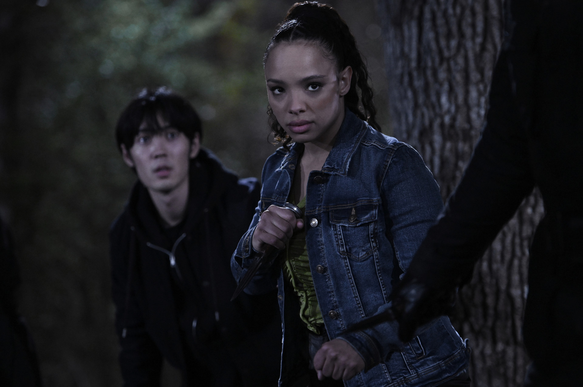 Rose Hathaway (Sisi Stringer) - Divulgação