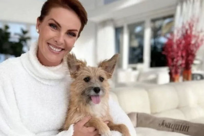 Cachorro que protegeu Ana Hickmann foi resgatado contra a vontade do marido