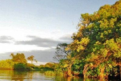 O Papel de Tocantins na Preservação