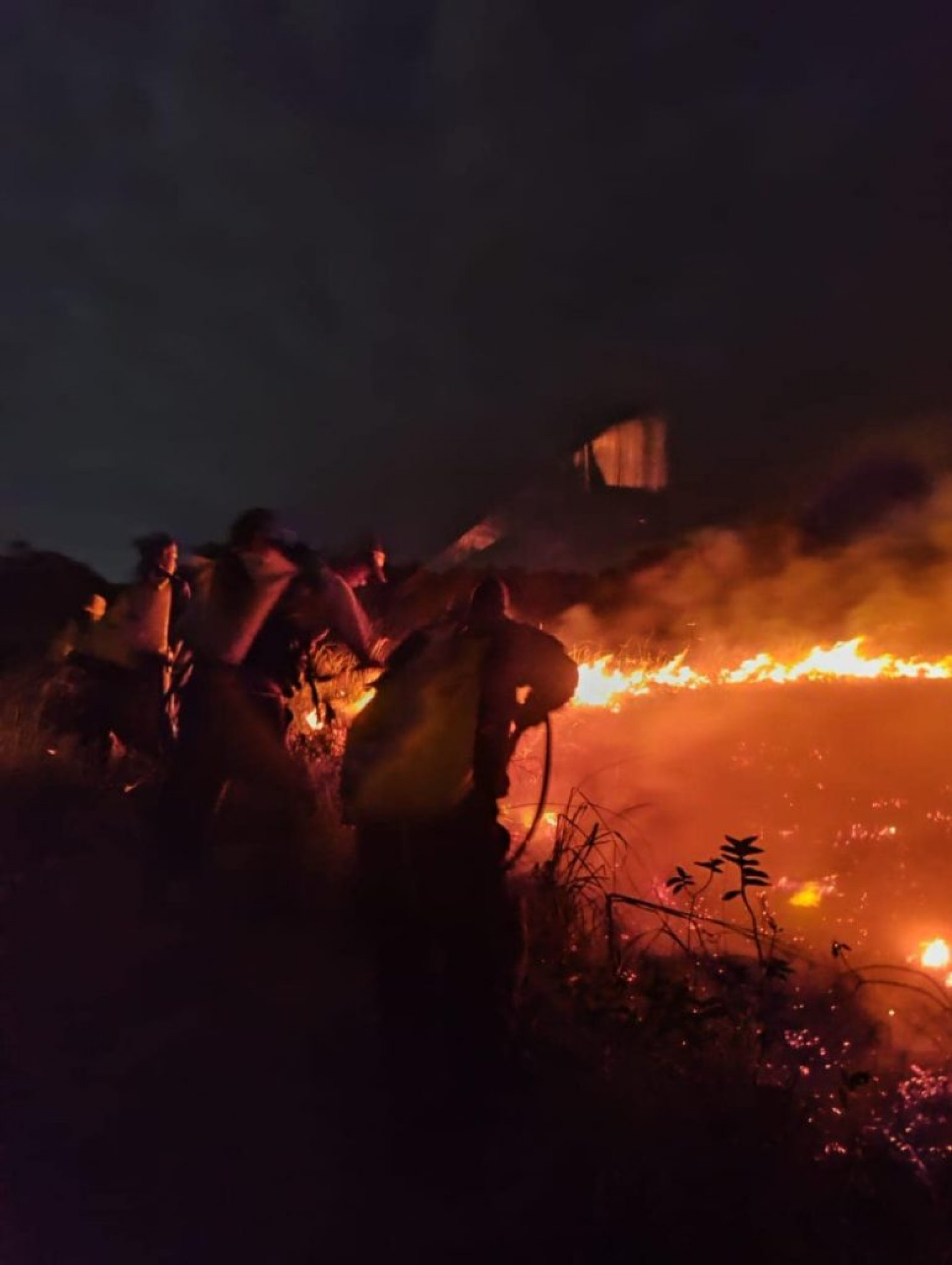 Preservação Ambiental em chamas  - Divulgação 