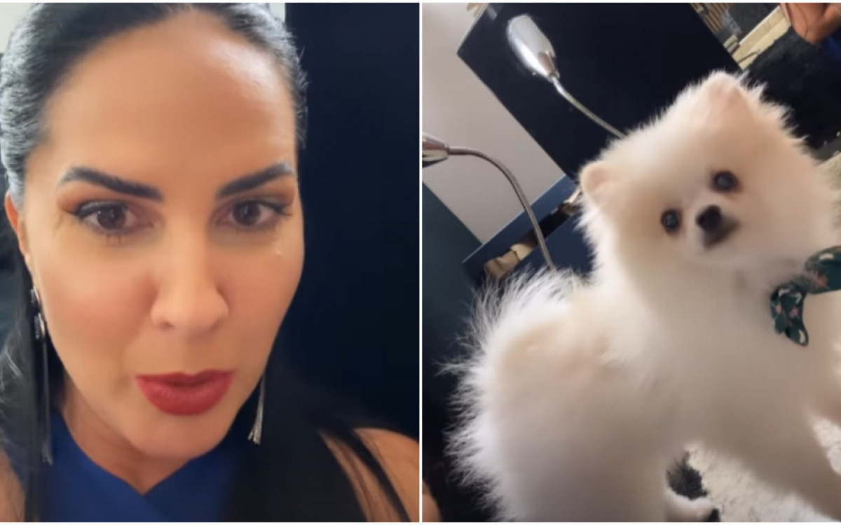 Graciele Lacerda arremata cachorro por R$# 63 mil em leilão beneficente - Reprodução/Instagram