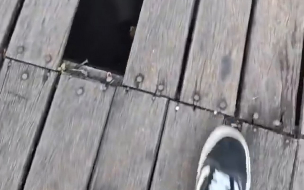 Com várias madeiras quebradas e buracos local oferece riscos