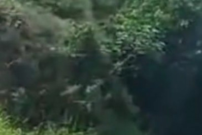 Três pessoas ficam feridas em acidentes na Rio-Santos em Angra