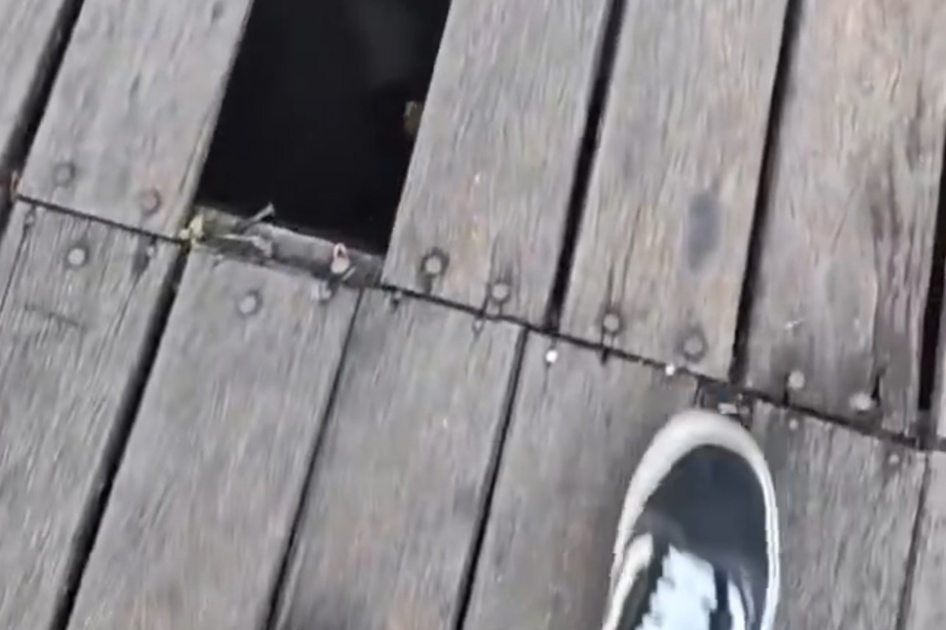 Com v&aacute;rias madeiras quebradas e buracos local oferece riscos - Foto: Reprodu&ccedil;&atilde;o V&iacute;deo Rede Social