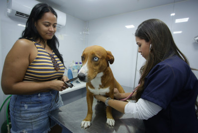 Horto do Barreto terá ação para microchipar 100 pets neste sábado