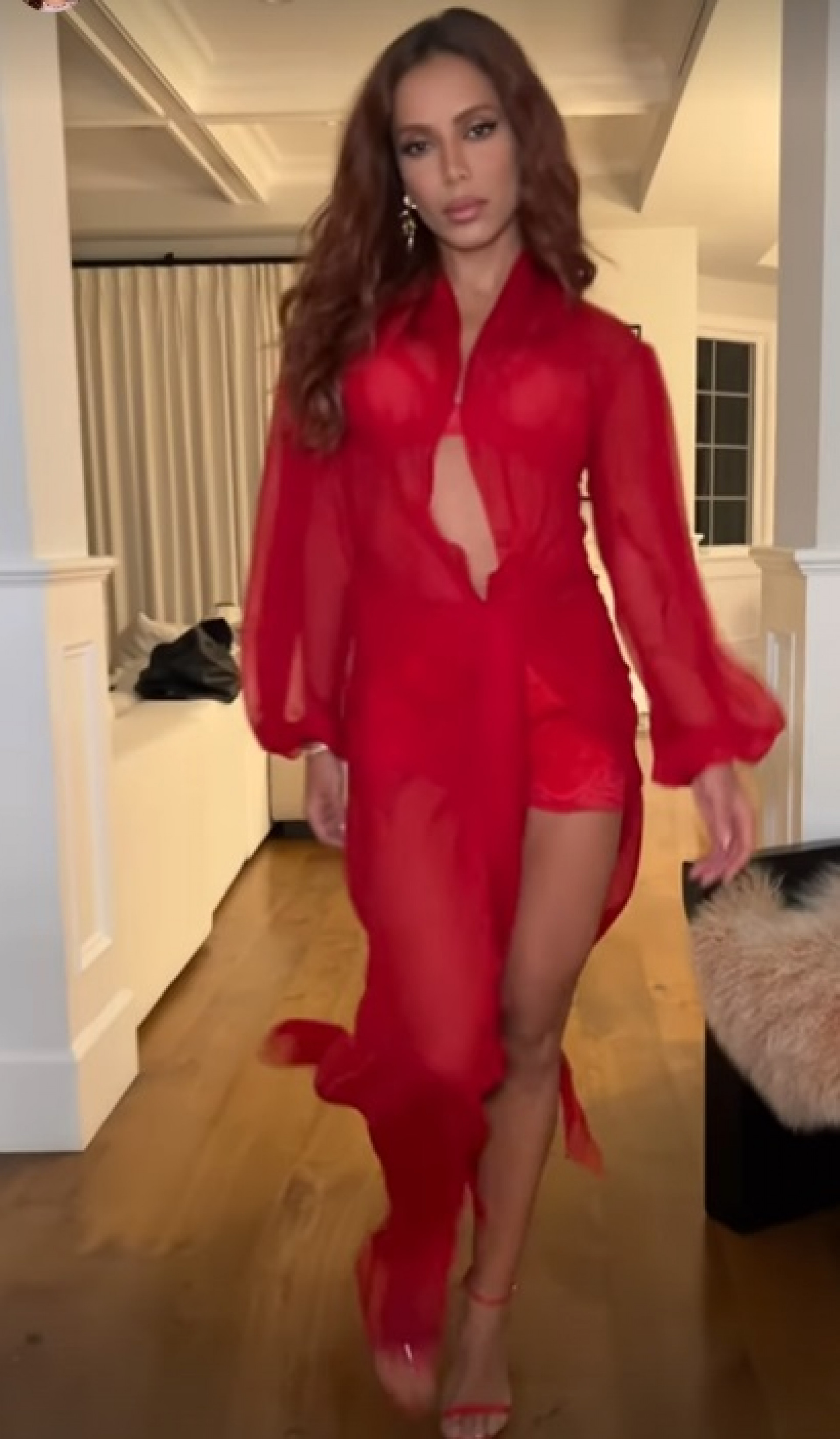 Anitta - Reprodução do Instagram