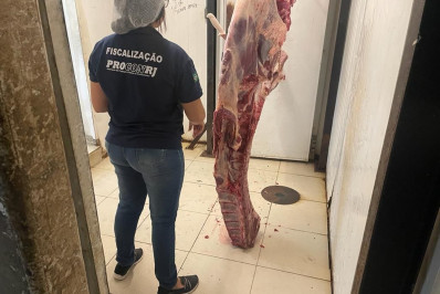 Procon e Polícia Civil descartam cerca de 230kg de alimentos impróprios de supermercado em Realengo